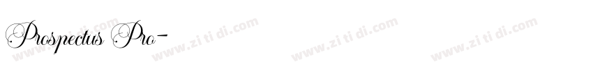 Prospectus Pro字体转换